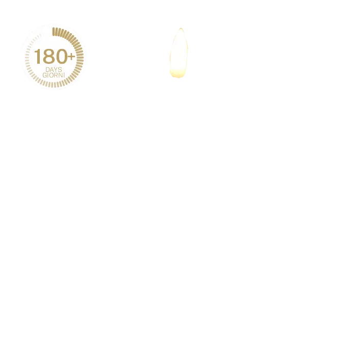 Electronic candle LPS12